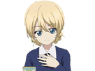 https://image.noelshack.com/fichiers/2018/19/2/1525783336-sticker-darjeeling-aw.png