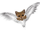https://image.noelshack.com/minis/2018/19/3/1525883902-img-1810.png