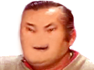 https://image.noelshack.com/fichiers/2018/19/5/1526046823-risitas-moche.png