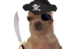 https://image.noelshack.com/fichiers/2018/19/6/1526081319-chien-blase-pirate.png