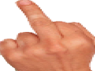 https://image.noelshack.com/fichiers/2018/19/6/1526130474-doigt-convertimage.png