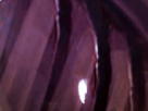https://image.noelshack.com/fichiers/2018/19/6/1526137861-25-9jb9qb7x.png