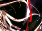 https://image.noelshack.com/fichiers/2018/19/6/1526137864-32-9jb9qb7x.png