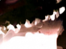 https://image.noelshack.com/fichiers/2018/19/6/1526137876-72-9jb9qb7x.png