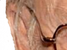 https://image.noelshack.com/fichiers/2018/19/7/1526164892-1-u06b6mb2.png