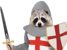 https://image.noelshack.com/minis/2018/19/7/1526172662-pito-full.png