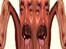 https://image.noelshack.com/fichiers/2018/19/7/1526201546-24190.jpg