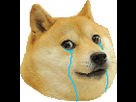 https://image.noelshack.com/fichiers/2018/19/7/1526219031-doggo-triste.png