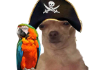 https://image.noelshack.com/fichiers/2018/19/7/1526241543-chien-blase-pirate3.png