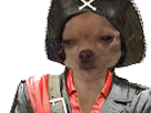 https://image.noelshack.com/fichiers/2018/19/7/1526241861-chien-blase-pirate4.png