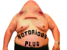 https://image.noelshack.com/fichiers/2018/20/1/1526259973-notorious-plug-risipied.png