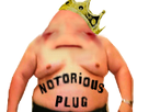 https://image.noelshack.com/fichiers/2018/20/1/1526260496-notorious-plug-risipieddddddd.png