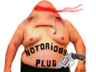 https://image.noelshack.com/fichiers/2018/20/1/1526261468-notorious-plug-risipied-ff.png