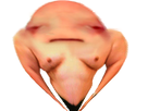 https://image.noelshack.com/fichiers/2018/20/1/1526267894-peofuigyiuhoipe.png