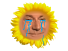 https://image.noelshack.com/fichiers/2018/20/1/1526277736-fleur-pleure.png