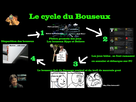 https://image.noelshack.com/fichiers/2018/20/2/1526385495-bouseuxincocycle.jpg