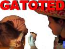 https://image.noelshack.com/minis/2018/20/4/1526541832-1466366209-risitas24.png