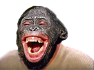 https://image.noelshack.com/fichiers/2018/20/4/1526558923-1487210514-issouchimpanze-si-tu-le-supprimes-j-en-fais-50-singe-issou.png