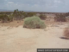 https://image.noelshack.com/fichiers/2018/20/4/1526573907-giphy.gif