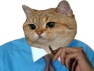 https://image.noelshack.com/minis/2018/20/6/1526705041-lechaent45.png