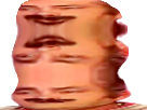 https://image.noelshack.com/minis/2018/20/6/1526719724-32986.png