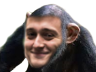 https://image.noelshack.com/minis/2018/20/7/1526828830-valentinledu.png