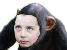 https://image.noelshack.com/minis/2018/21/2/1527020395-1527020275542.png
