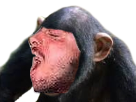 https://image.noelshack.com/minis/2018/21/3/1527071280-1496587449-1494613194-risisinge.png
