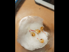https://image.noelshack.com/minis/2018/21/3/1527106897-20180523-221600.png