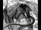 https://image.noelshack.com/fichiers/2018/21/4/1527116646-dragons.jpg
