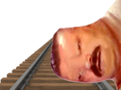 https://image.noelshack.com/fichiers/2018/21/4/1527190385-1521474173-qdsqsd.png