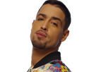 https://image.noelshack.com/minis/2018/21/4/1527191306-lartiste-se-tourne-kekeh.png