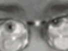 https://image.noelshack.com/minis/2018/21/6/1527358288-plafeesi.png
