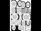 https://image.noelshack.com/fichiers/2018/21/7/1527437743-1520046500-text.png