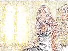 https://image.noelshack.com/minis/2018/21/7/1527454868-judith3.png