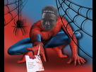https://image.noelshack.com/fichiers/2018/22/1/1527496598-l-spiderman.jpg