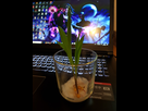 https://image.noelshack.com/minis/2018/22/1/1527517643-20180528-162348.png