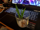 https://image.noelshack.com/minis/2018/22/1/1527517653-20180528-162356.png