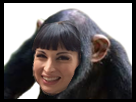 https://image.noelshack.com/minis/2018/22/1/1527524773-bjsinge.png