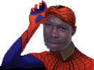 https://image.noelshack.com/fichiers/2018/22/2/1527547739-spider-mamoudou.png