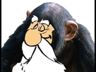 https://image.noelshack.com/fichiers/2018/22/3/1527713596-panosinge.png