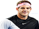 https://image.noelshack.com/fichiers/2018/22/4/1527781012-1521326203-delpo.png