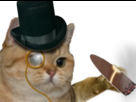 https://image.noelshack.com/fichiers/2018/22/4/1527787132-62479-thumb.png