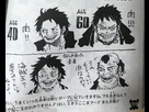 https://image.noelshack.com/fichiers/2018/22/4/1527793089-luffy-aging.jpg