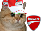 https://image.noelshack.com/fichiers/2018/22/4/1527800822-ducati-chat.png