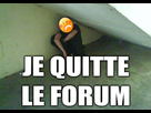 https://image.noelshack.com/fichiers/2018/22/5/1527805829-quitteforum.png