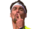 https://image.noelshack.com/fichiers/2018/22/6/1527943673-1488137657-fognini.png