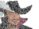 https://image.noelshack.com/fichiers/2018/22/7/1527981598-apparition2.png