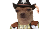 https://image.noelshack.com/fichiers/2018/23/3/1528295865-chien-sheriff.png