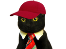 https://image.noelshack.com/minis/2018/23/3/1528308474-1484855940-chatcasquette.png
